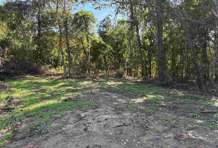 0 MUDVILLE RD, Millington, Tennessee 38053, ,Land,For Sale,MUDVILLE,10220962