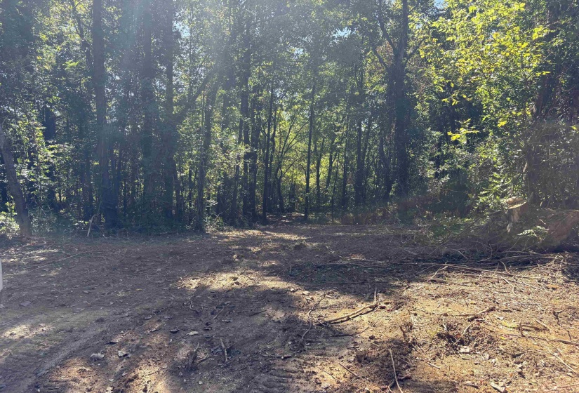 0 MUDVILLE RD, Millington, Tennessee 38053, ,Land,For Sale,MUDVILLE,10220962