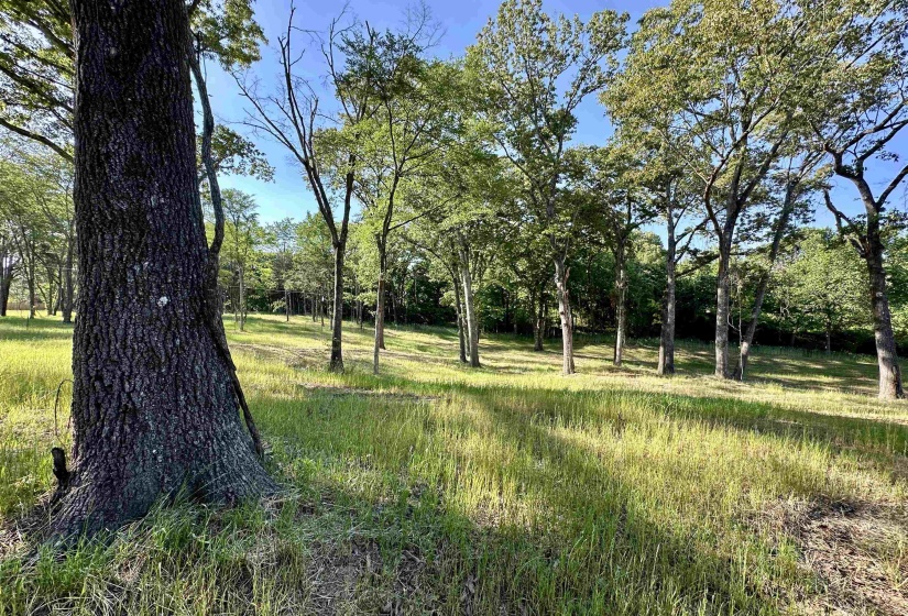 2 DOGWOOD RD, Somerville, Tennessee 38068, ,Land,For Sale,DOGWOOD,10220977