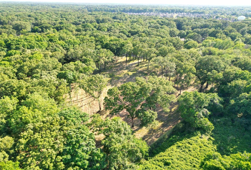 2 DOGWOOD RD, Somerville, Tennessee 38068, ,Land,For Sale,DOGWOOD,10220977
