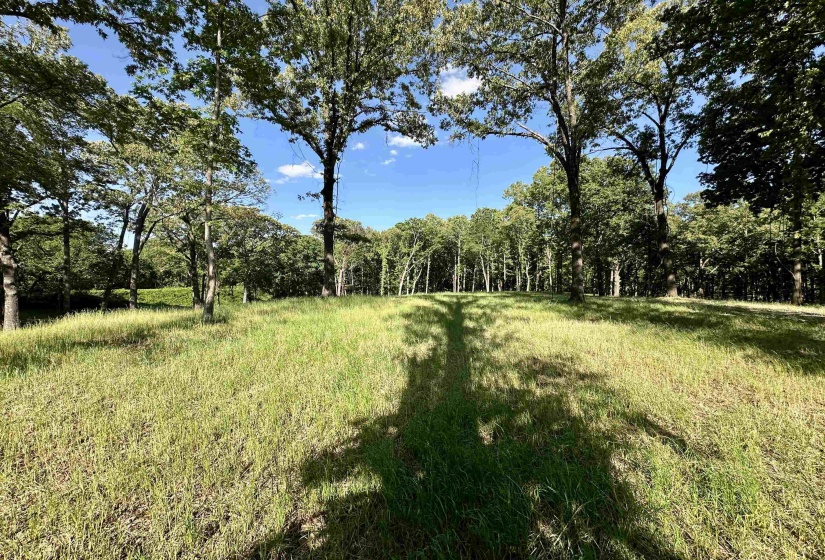 2 DOGWOOD RD, Somerville, Tennessee 38068, ,Land,For Sale,DOGWOOD,10220977