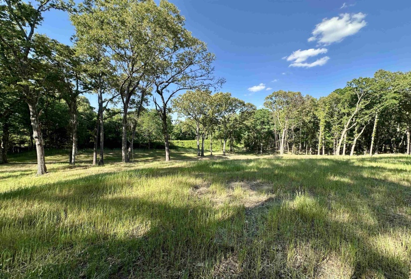 2 DOGWOOD RD, Somerville, Tennessee 38068, ,Land,For Sale,DOGWOOD,10220977