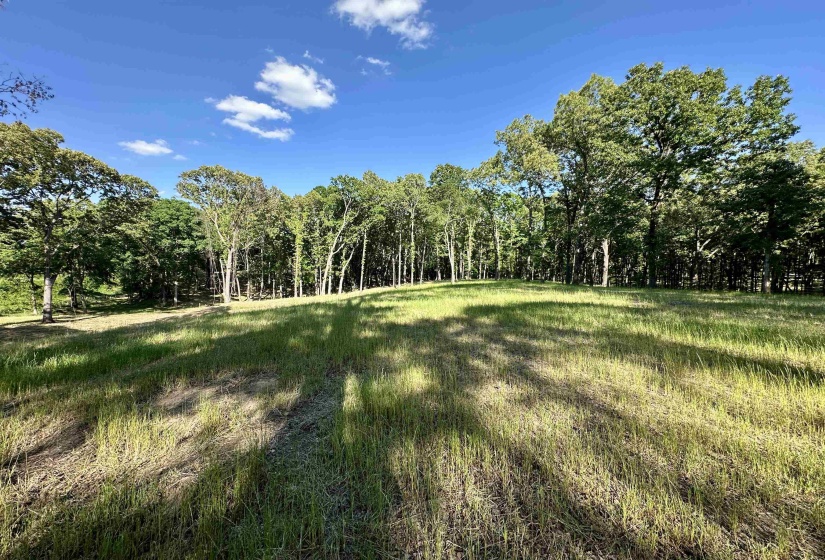 2 DOGWOOD RD, Somerville, Tennessee 38068, ,Land,For Sale,DOGWOOD,10220977