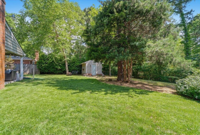 Expansive green lawn with mature trees and a detached storage shed