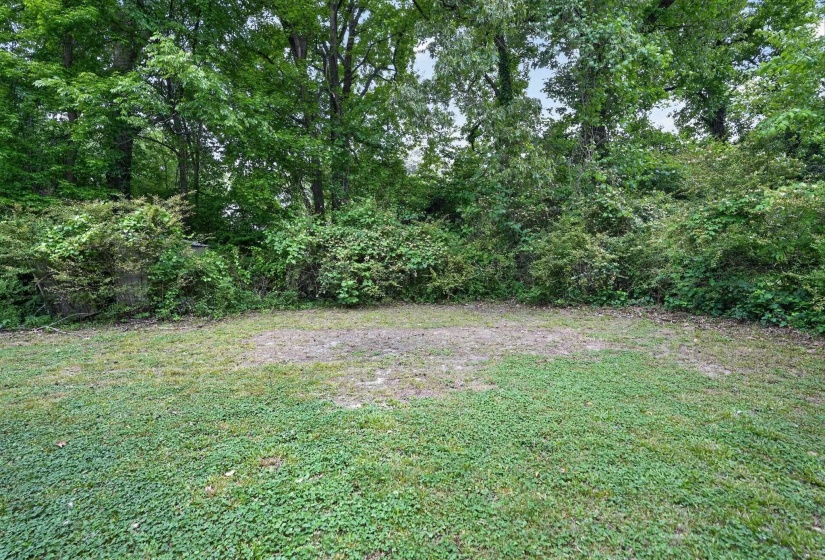 Expansive backyard featuring a lush green lawn and a natural tree line providing a verdant backdrop
