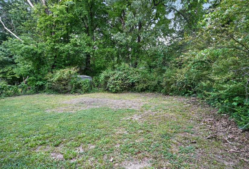 Expansive grassy area with natural landscaping and mature trees