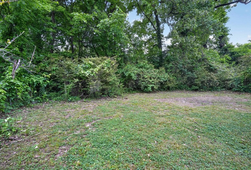 Expansive green space featuring varied ground cover and a lush, natural backdrop of mature trees and abundant foliage