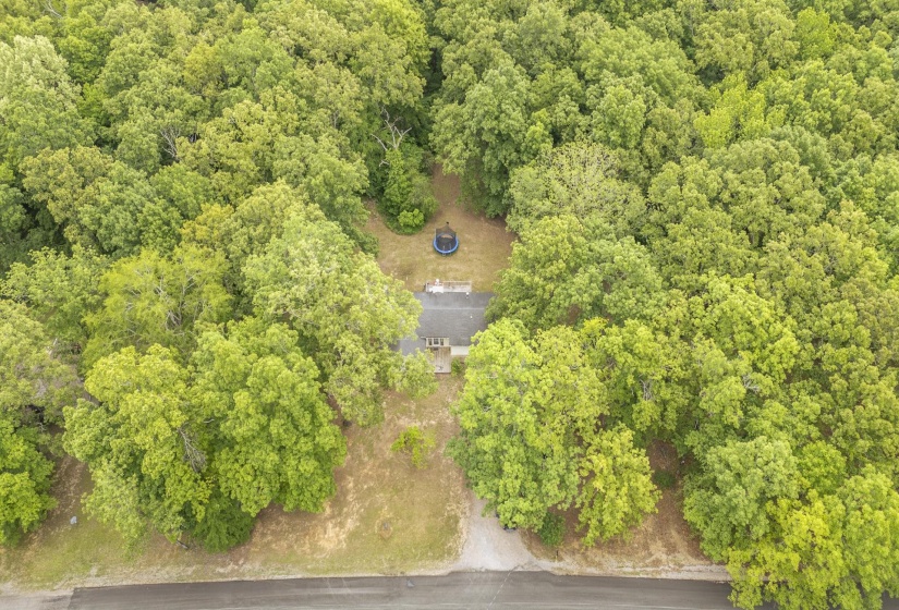 Wooded lot featuring a residential structure with a gray roof and light-colored siding