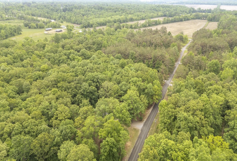 Expansive property featuring mature deciduous and evergreen trees, a paved road, and a distant field