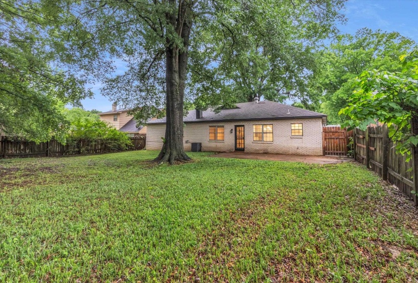 Expansive backyard featuring a large tree, a brick exterior, a patio, and a wood fence enclosing the property