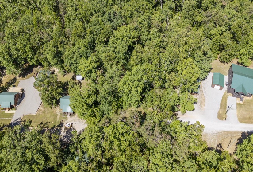 0 COTTAGE GROVE RD, Counce, Tennessee 38326, ,Land,For Sale,COTTAGE GROVE,10217200