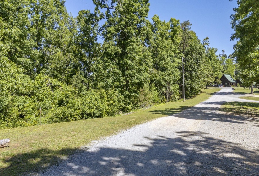 0 COTTAGE GROVE RD, Counce, Tennessee 38326, ,Land,For Sale,COTTAGE GROVE,10217200