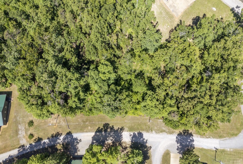 0 COTTAGE GROVE RD, Counce, Tennessee 38326, ,Land,For Sale,COTTAGE GROVE,10217200