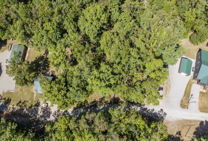 0 COTTAGE GROVE RD, Counce, Tennessee 38326, ,Land,For Sale,COTTAGE GROVE,10217200