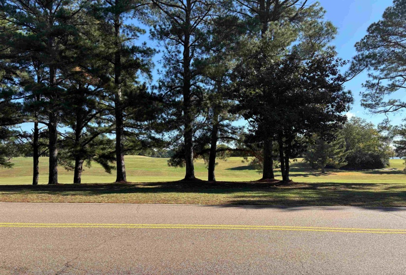 0 BETHUEL RD, Millington, Tennessee 38053, 0 , 0 ,0,Land,For Sale,BETHUEL,0,10220988