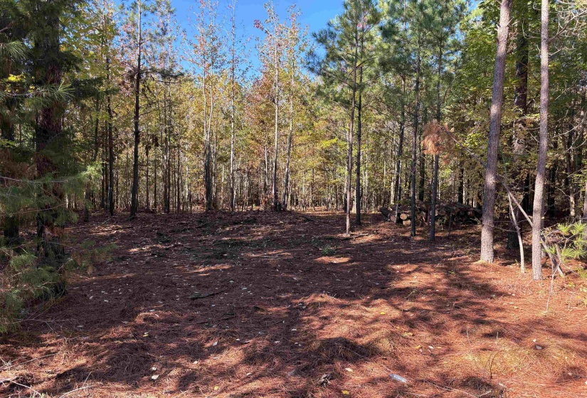 0 BETHUEL RD, Millington, Tennessee 38053, 0 , 0 ,0,Land,For Sale,BETHUEL,0,10220988