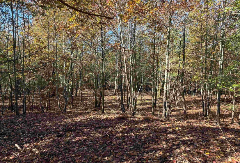 0 BETHUEL RD, Millington, Tennessee 38053, 0 , 0 ,0,Land,For Sale,BETHUEL,0,10220988