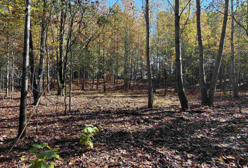 0 BETHUEL RD, Millington, Tennessee 38053, 0 , 0 ,0,Land,For Sale,BETHUEL,0,10220988