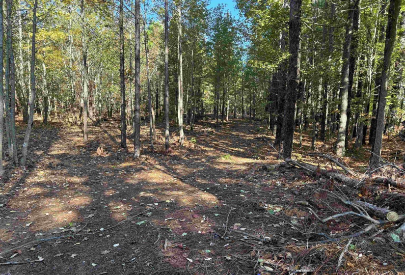 0 BETHUEL RD, Millington, Tennessee 38053, 0 , 0 ,0,Land,For Sale,BETHUEL,0,10220990