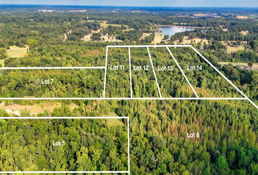 0 BETHUEL RD, Millington, Tennessee 38053, 0 , 0 ,0,Land,For Sale,BETHUEL,0,10220990