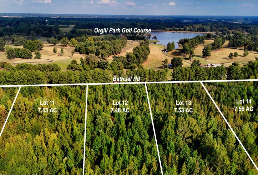 0 BETHUEL RD, Millington, Tennessee 38053, 0 , 0 ,0,Land,For Sale,BETHUEL,0,10220990