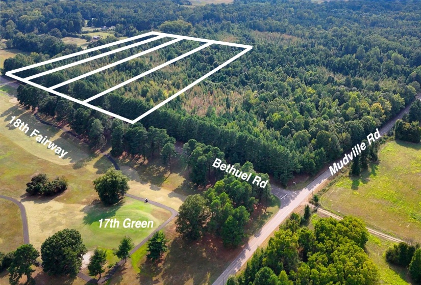 0 BETHUEL RD, Millington, Tennessee 38053, 0 , 0 ,0,Land,For Sale,BETHUEL,0,10220990