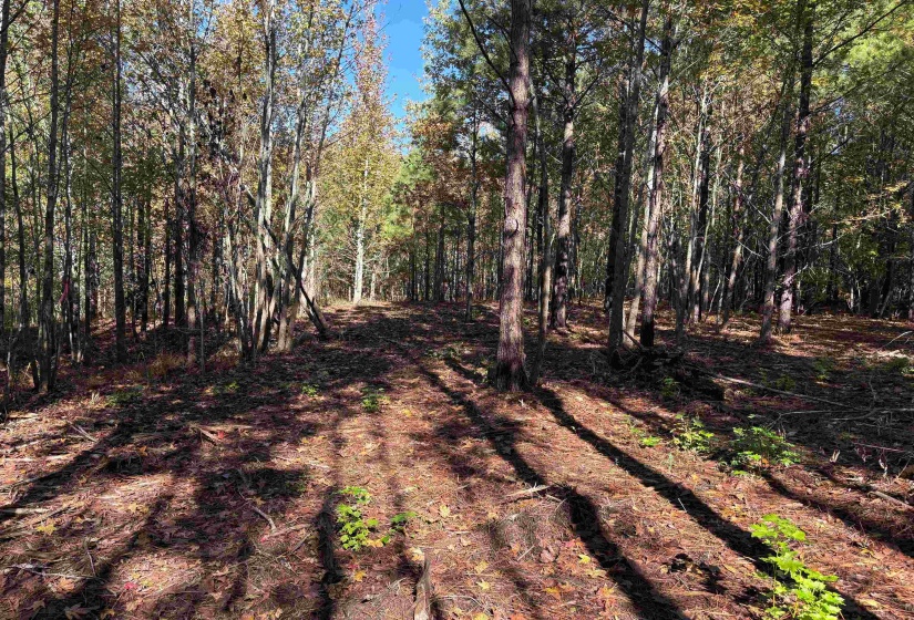 0 BETHUEL RD, Millington, Tennessee 38053, 0 , 0 ,0,Land,For Sale,BETHUEL,0,10220990