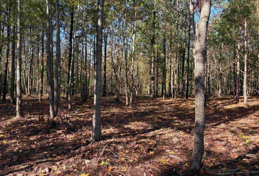 0 BETHUEL RD, Millington, Tennessee 38053, 0 , 0 ,0,Land,For Sale,BETHUEL,0,10220990