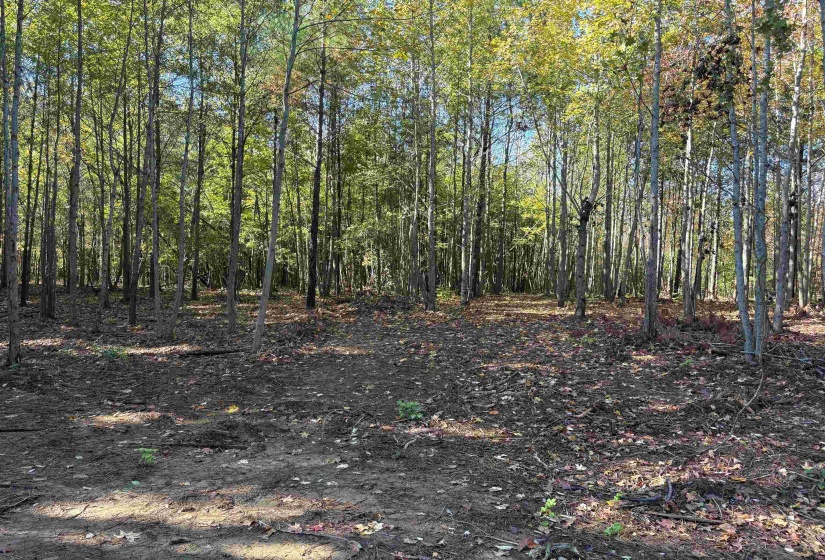 0 BETHUEL RD, Millington, Tennessee 38053, 0 , 0 ,0,Land,For Sale,BETHUEL,0,10220990