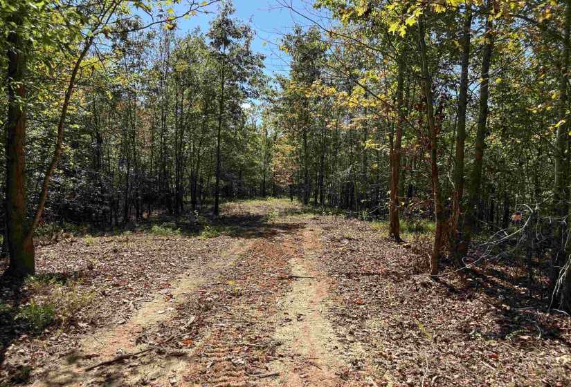 0 BETHUEL RD, Millington, Tennessee 38053, ,Land,For Sale,BETHUEL,10220992