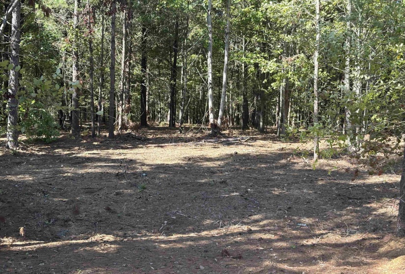 0 BETHUEL RD, Millington, Tennessee 38053, ,Land,For Sale,BETHUEL,10220992