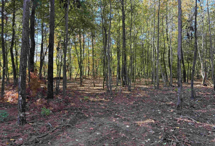 0 BETHUEL RD, Millington, Tennessee 38053, ,Land,For Sale,BETHUEL,10220992