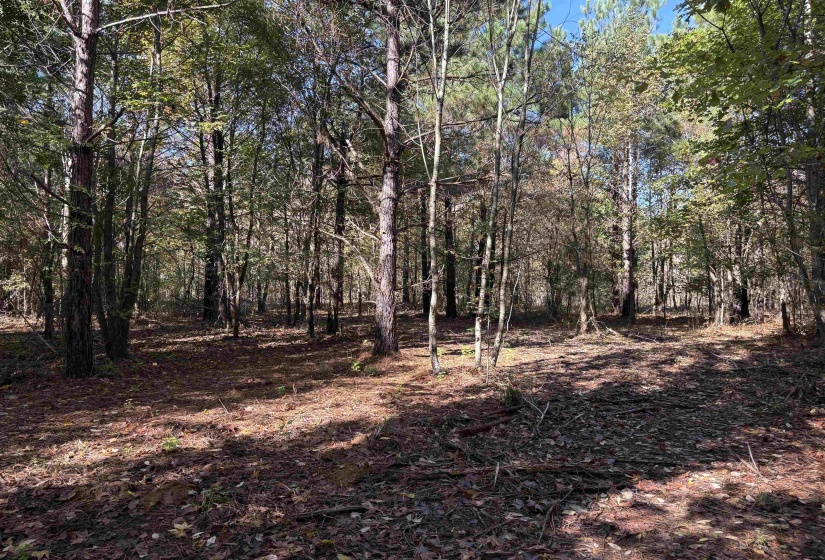 0 BETHUEL RD, Millington, Tennessee 38053, ,Land,For Sale,BETHUEL,10220992
