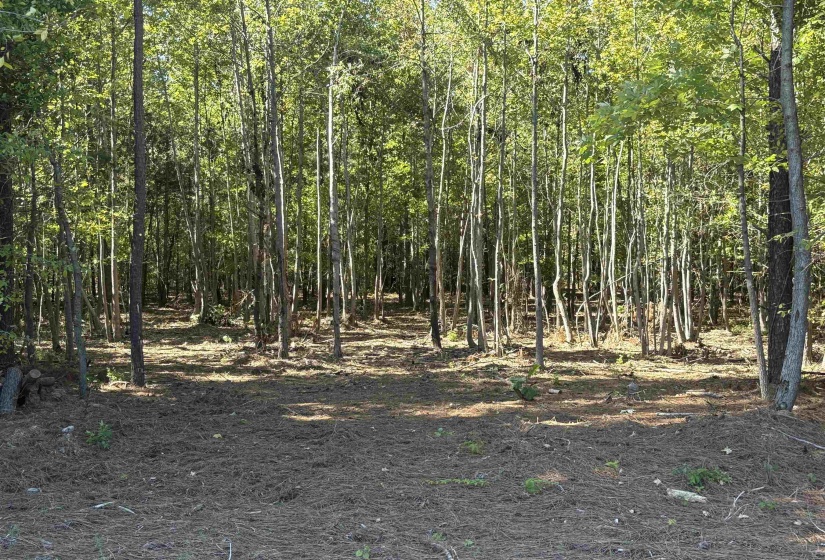 0 BETHUEL RD, Millington, Tennessee 38053, ,Land,For Sale,BETHUEL,10220992