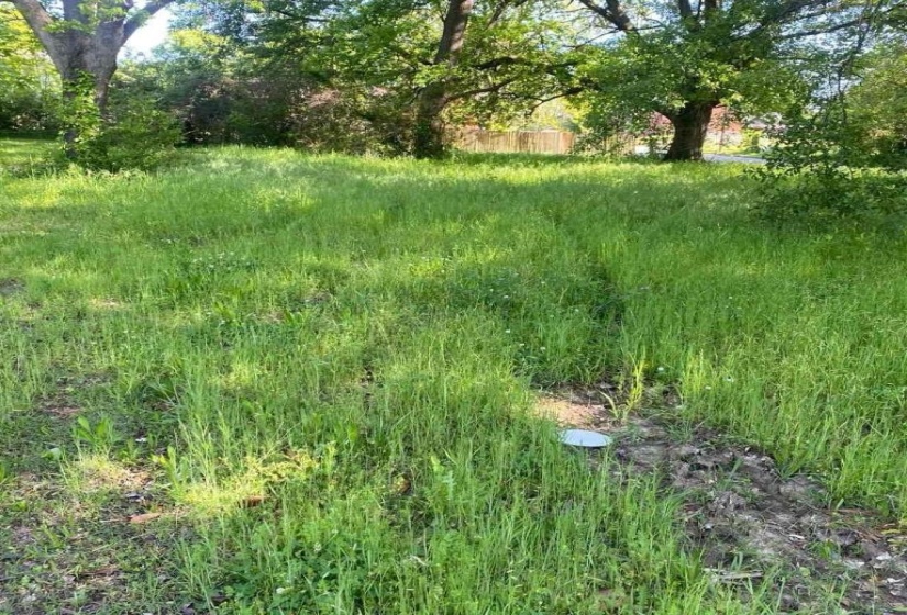 66 GAGE AVE, Memphis, Tennessee 38109, 0 , 0 ,0,Land,For Sale,GAGE,0,10221006