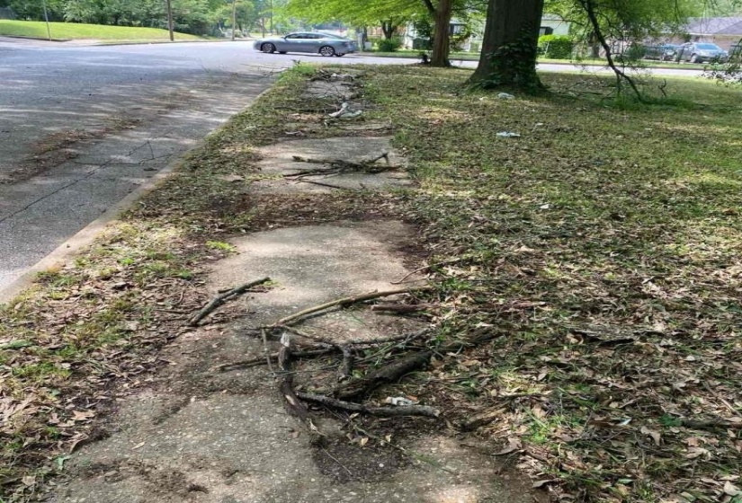 66 GAGE AVE, Memphis, Tennessee 38109, 0 , 0 ,0,Land,For Sale,GAGE,0,10221006