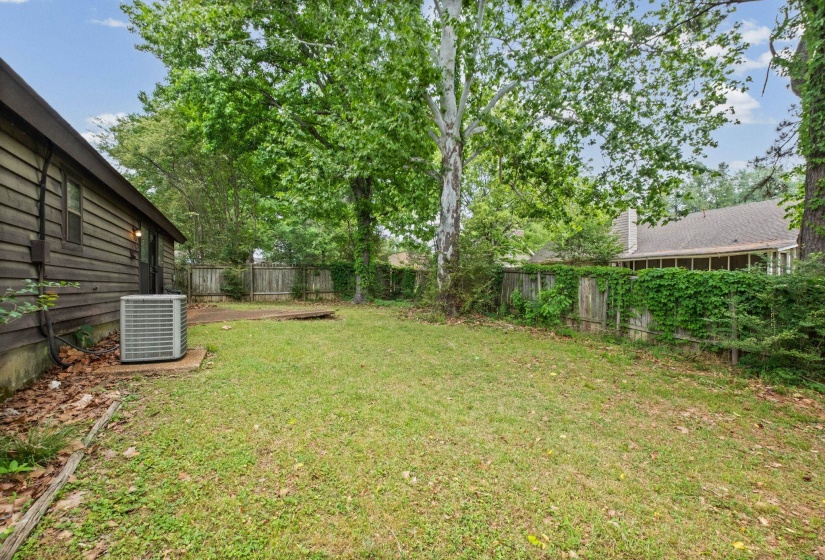 Expansive grassy yard with mature trees providing canopy