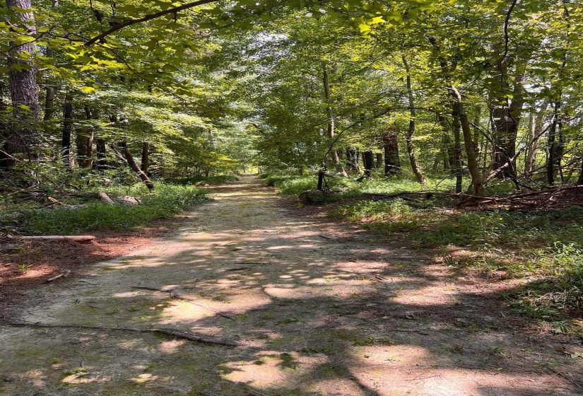 14285 HWY 196 HWY, Eads, Tennessee 38028, 4 Bedroom Bedrooms, 10 Room Rooms,2.1 BathroomBathrooms,Residential,For Sale,HWY 196,0,10221016