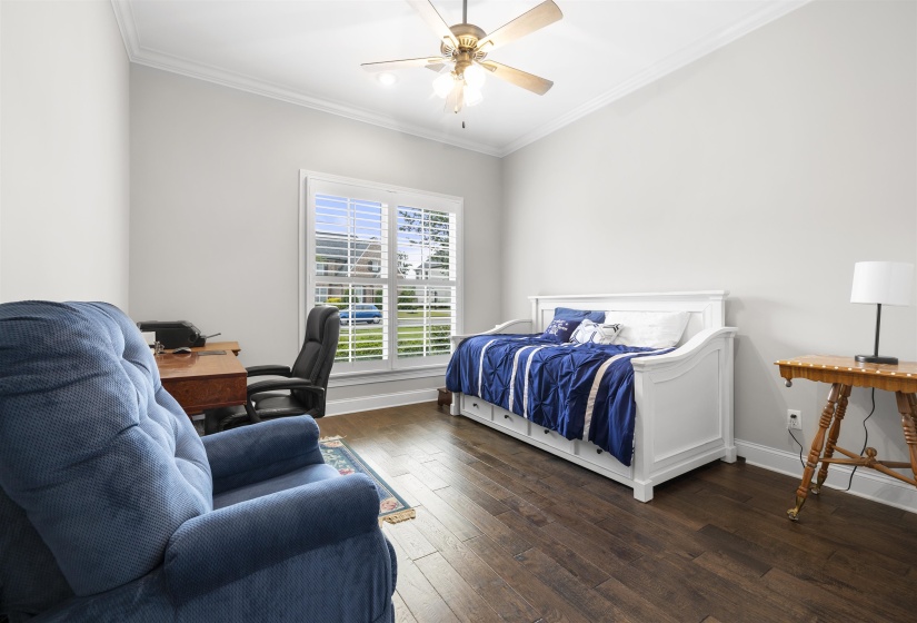 Bright room featuring wood-finish flooring and crown molding