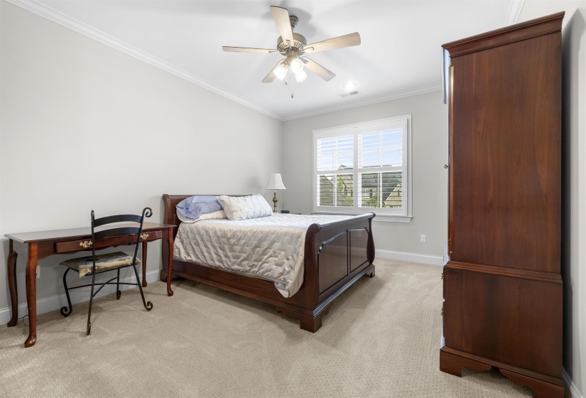 Carpeted bedroom with crown molding, a ceiling fan, and a window featuring white blinds