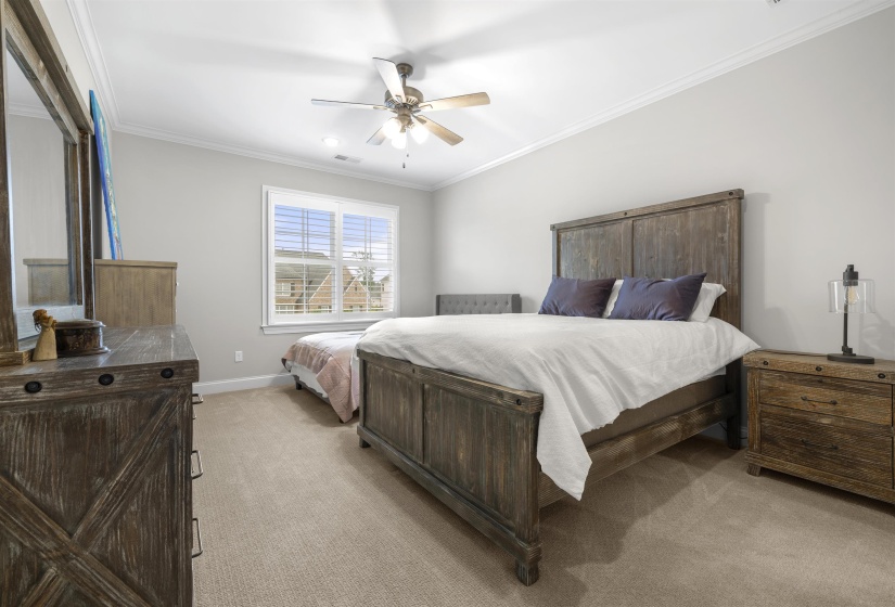 Carpeted room with a ceiling fan, crown molding, and a double window featuring plantation shutters