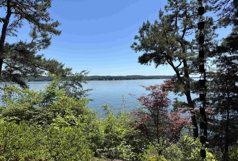 788 PARADISE DR, Waterloo, Alabama 35677, 3 Bedrooms Bedrooms, 8 Rooms Rooms,3.1 BathroomsBathrooms,Residential,For Sale,PARADISE,10221023
