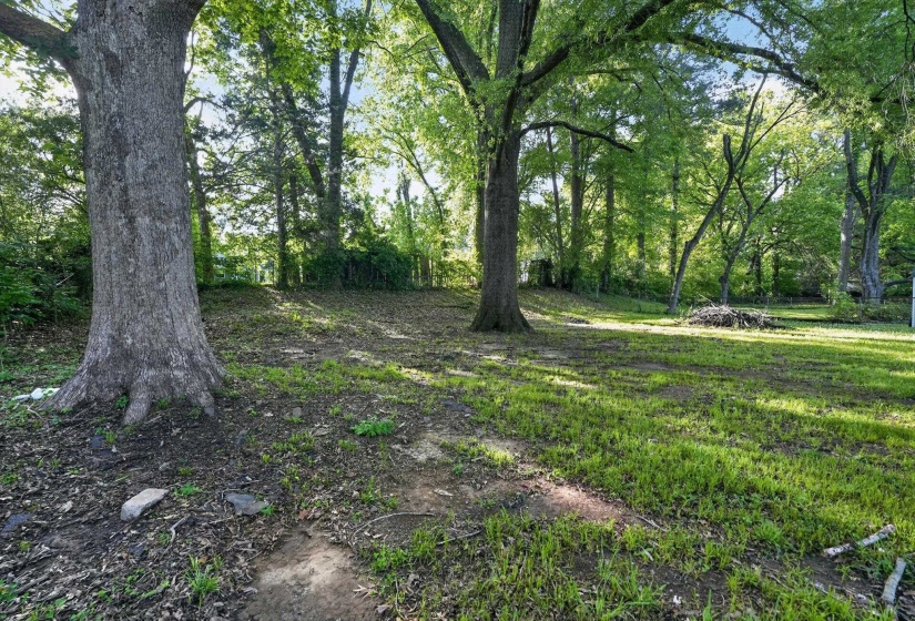 Wooded lot featuring mature trees and partial ground cover