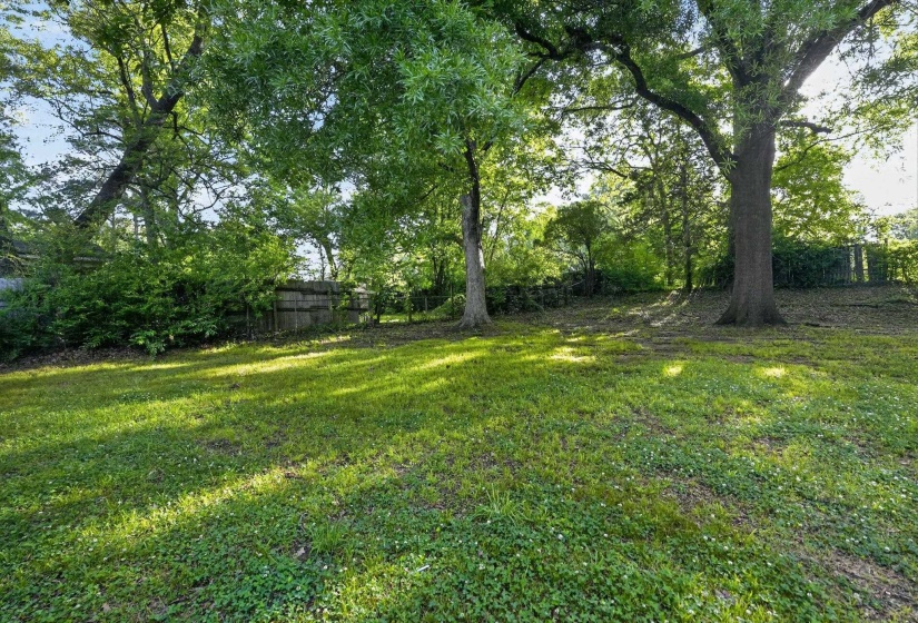 Expansive grassy yard featuring mature trees, a perimeter fence, and varied foliage