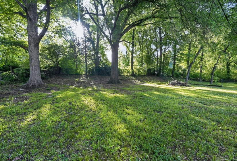 Expansive grassy area with mature trees and a wooded backdrop