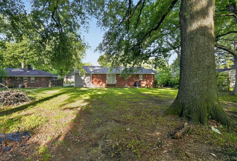 Expansive backyard with a substantial mature tree and a brick exterior dwelling with a sliding glass door