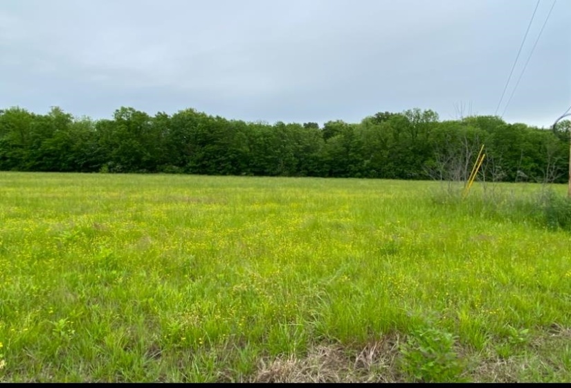 LT 138 BANDIT WAY, Savannah, Tennessee 38372, ,Land,For Sale,BANDIT,10221057