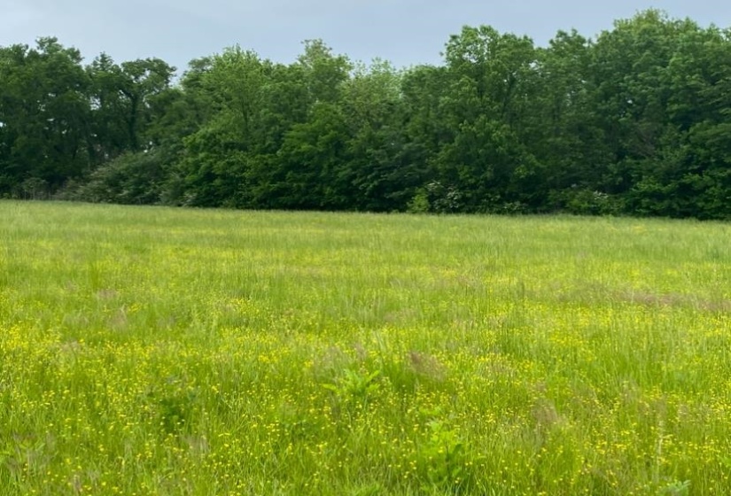 LT 138 BANDIT WAY, Savannah, Tennessee 38372, ,Land,For Sale,BANDIT,10221057