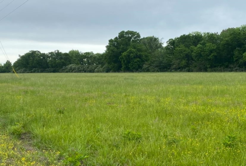 LT 138 BANDIT WAY, Savannah, Tennessee 38372, ,Land,For Sale,BANDIT,10221057