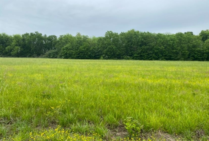LT 138 BANDIT WAY, Savannah, Tennessee 38372, ,Land,For Sale,BANDIT,10221057